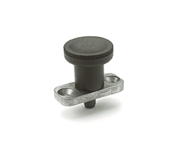 GN 608.1-Indexing plungers with flange
